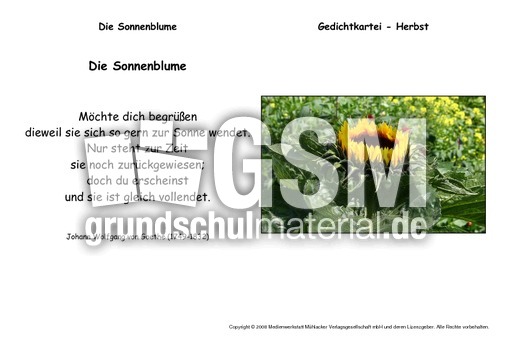 Die-Sonnenblume-Goethe.pdf